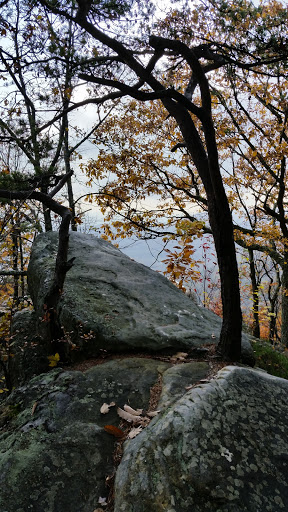 Restaurant «The Pineapple Tea Room & Coffee Shoppe», reviews and photos, 604 Colwyn St, Cumberland Gap, TN 37724, USA