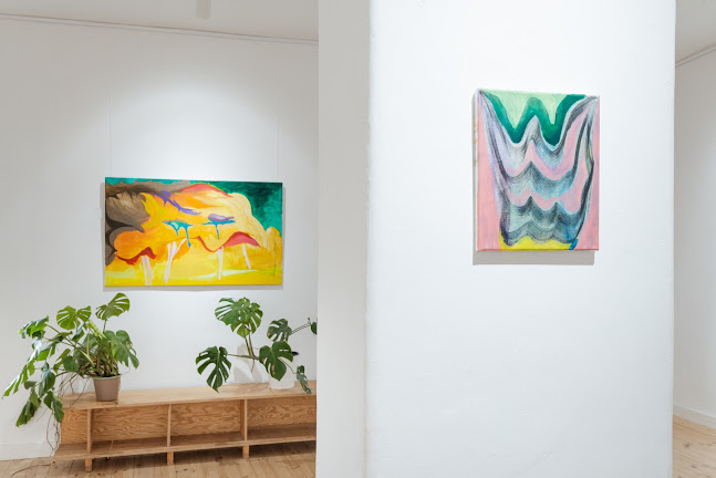 Comentarii opinii despre tuBaza