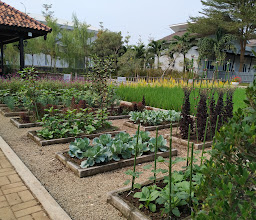Urban Farming Center photo