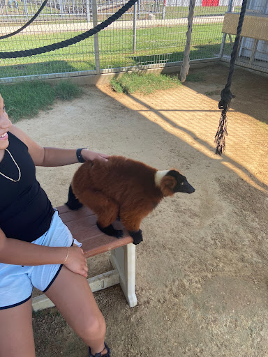 Ranch «Sharkarosa Wildlife Ranch», reviews and photos, 11670 Massey Rd, Pilot Point, TX 76258, USA