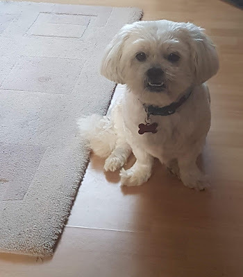 The Groom Room Ashford