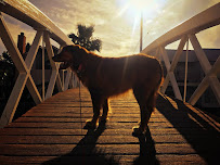 Lulu & Leo - Photo 7 - Car repair in , Torrance