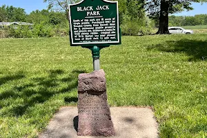 Black Jack Park image