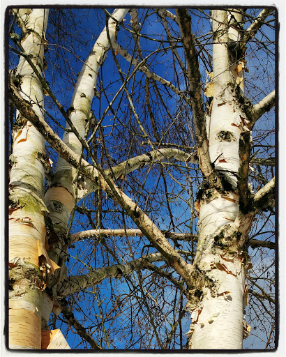 Pub «Tap Union Freehouse», reviews and photos, 1300 Washington St #200, Vancouver, WA 98660, USA