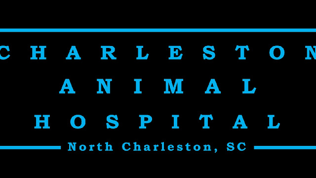 Charleston Animal Hospital