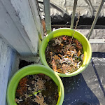 Photo n°1 de l'avis de Nurso1965. fait le 01/06/2023 à 13:51 sur le  Landhaus Tesperhude à Geesthacht