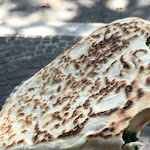 Photo n°1 de l'avis de Zeno.a fait le 22/08/2021 à 11:20 sur le  La Piadina di Stefano e Mascia à Cesena