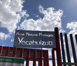 Yecahuitzotl Park photo