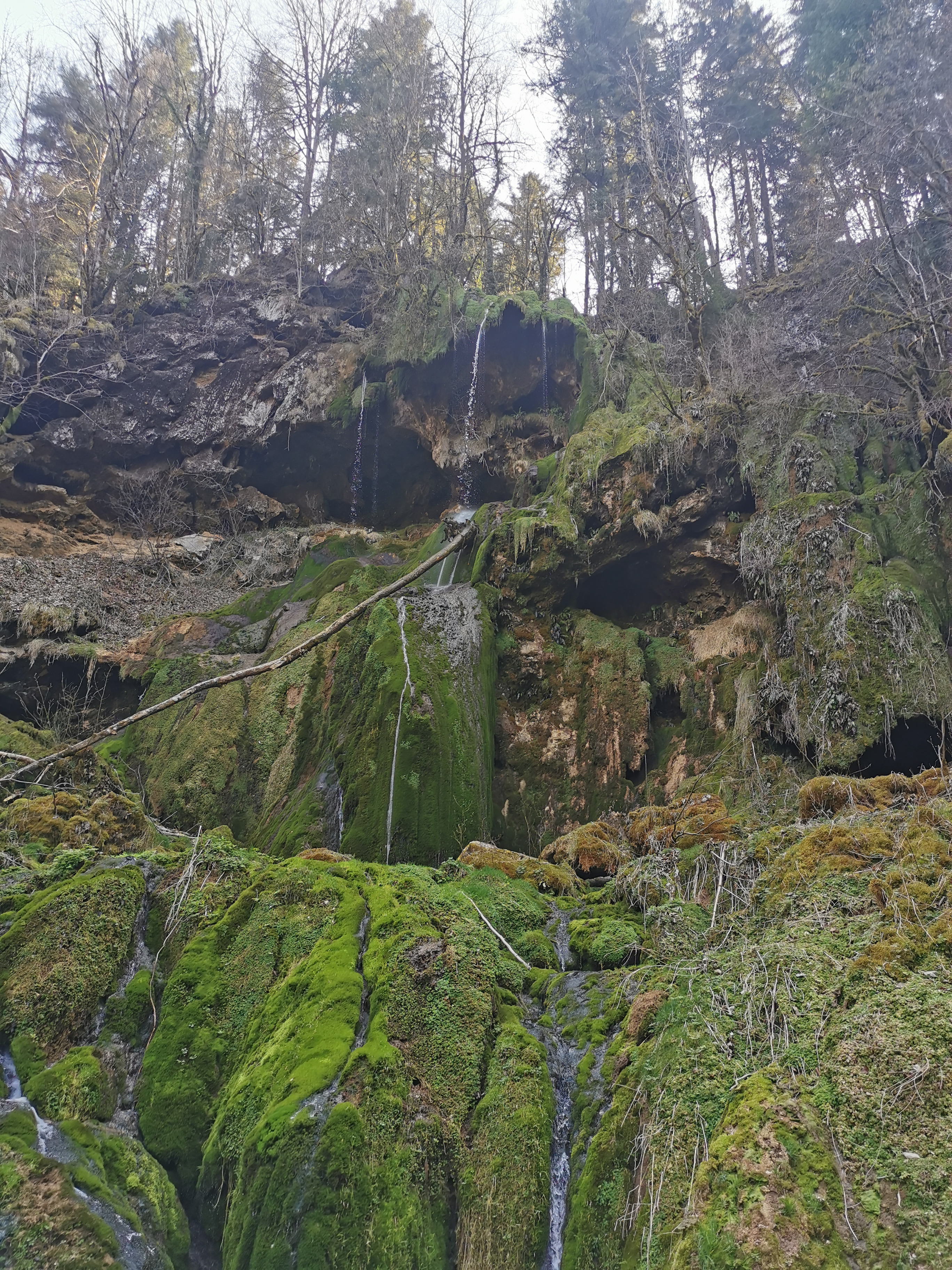 Photo n° 6 de l'avis de Séverine.e fait le 28/03/2022 à 18:58