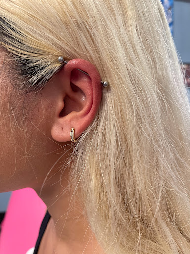 Find tattoo ideas moth for your next unique tattoo in Palm Harbor at Angry Owl Tattoo and Piercing