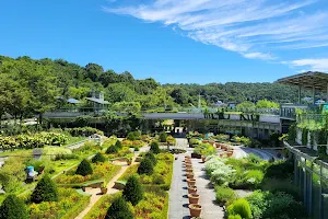 Shingu University Botanical Garden image