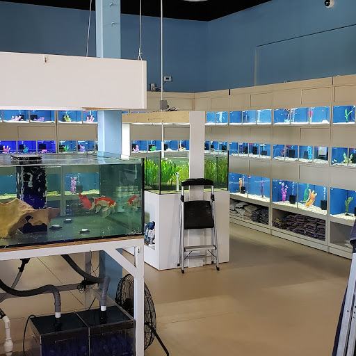 Tropical Fish Store «Blue Reef Aquatics», reviews and photos, 5960 Losee Rd, North Las Vegas, NV 89081, USA