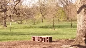 The Morton Arboretum - photo 40