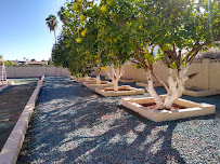 Bell De Mar Landscaping - Photo 5 - Car repair in , Mesa