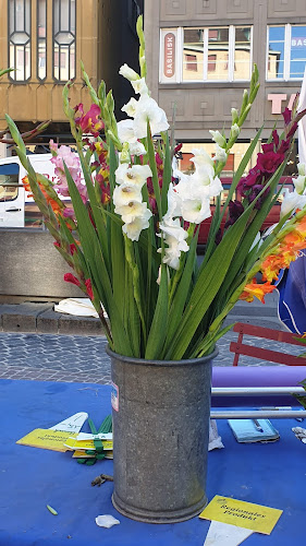 Früchtestoeckli Marktplatz - Reinach