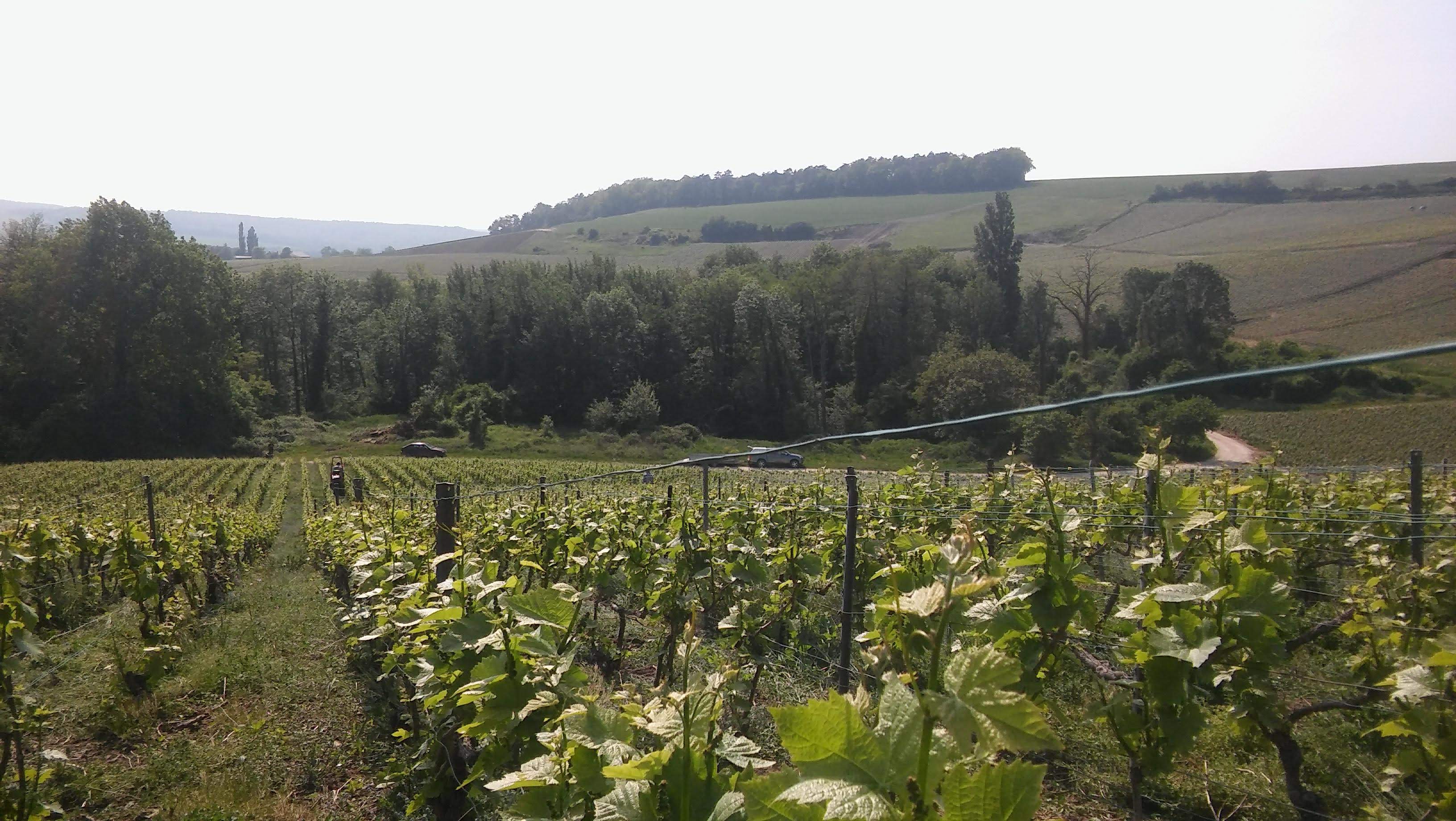 Photo n° 1 de l'avis de Lolo.o fait le 11/08/2019 à 10:27
