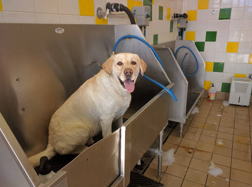 Pet Supply Store «Pet Supplies Plus», reviews and photos, 2155 Delaware Ave, Buffalo, NY 14216, USA