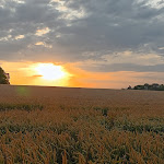 Photo n°3 de l'avis de Monika.i fait le 25/07/2023 à 18:46 sur le  Familienhotel Villa Waldeck à Eppingen