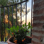 Photo n°11 de l'avis de Andrea.e fait le 26/06/2021 à 21:02 sur le  Ristorante Osteria Del Castello à Salsomaggiore Terme