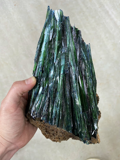 Metaphysical Supply Store «Stone Age: Crystals and Gems», reviews and photos, 2415 N Monroe St, Tallahassee, FL 32303, USA