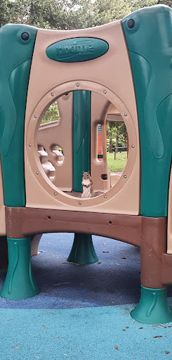 Park «MacFarlane Park», reviews and photos, 1700 N Macdill Ave, Tampa, FL 33607, USA