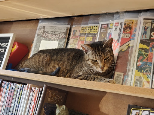 Comic Book Store «3rd Universe Comic Emporium», reviews and photos, 35 N Riverside Ave, Croton-On-Hudson, NY 10520, USA