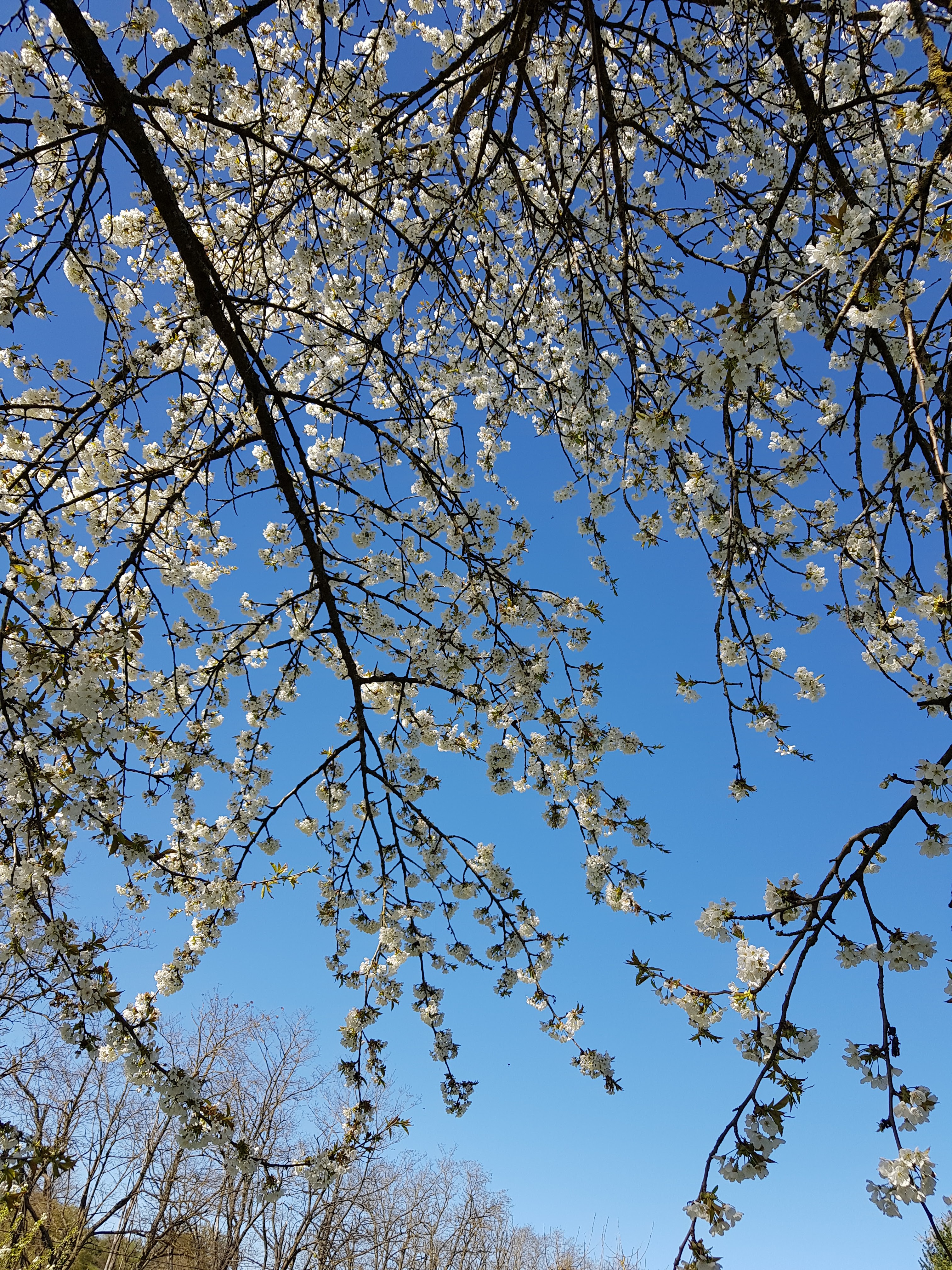 Photo n° 3 de l'avis de Rod.. fait le 17/04/2022 à 18:49