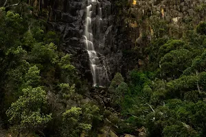 Pelverata Falls image