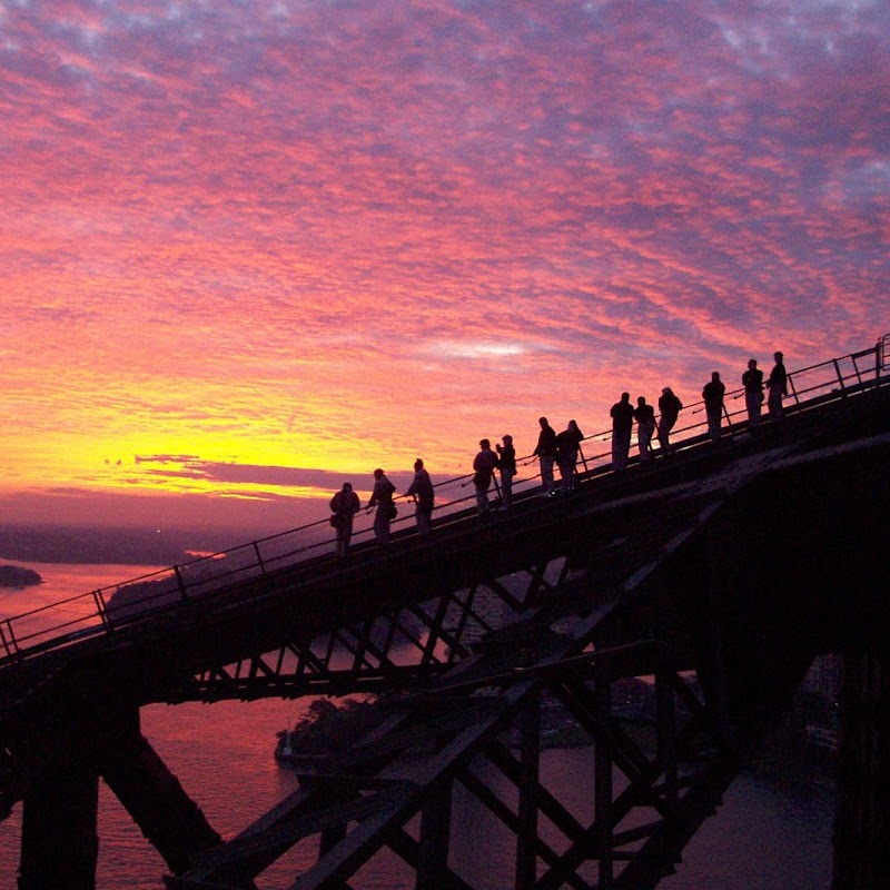 New Zealand International Basketball Tours