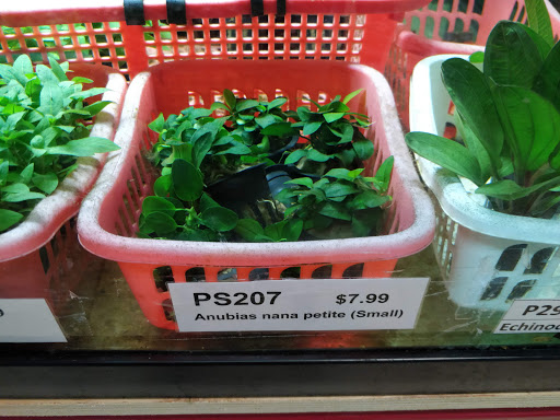 Pet Store «All Pet Center», reviews and photos, 1950 S Atlantic Blvd, Monterey Park, CA 91754, USA