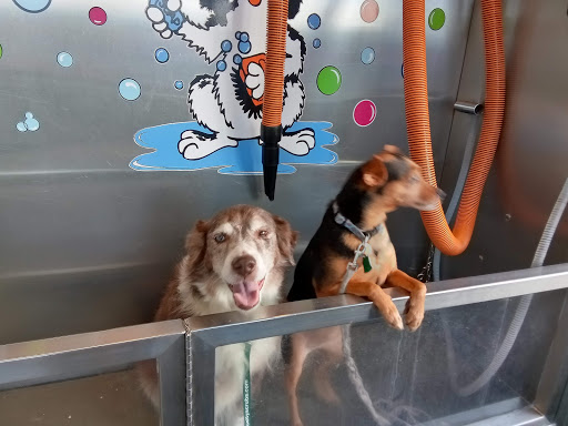 Pet Groomer «Belly scRubs Self Service Pet Wash», reviews and photos, 119 WV-34 #1, Hurricane, WV 25526, USA