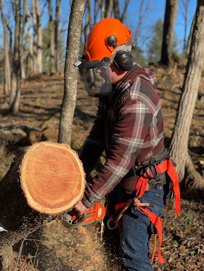 Fant's Tree Service