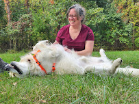 Packmates Pet Services, LLC - Photo 6 - Car repair in , Saginaw