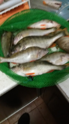 Opinii despre Вили Болярка în Кърджали - Хотел