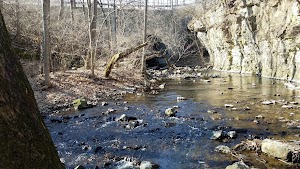 Hayden Falls Park - photo 17