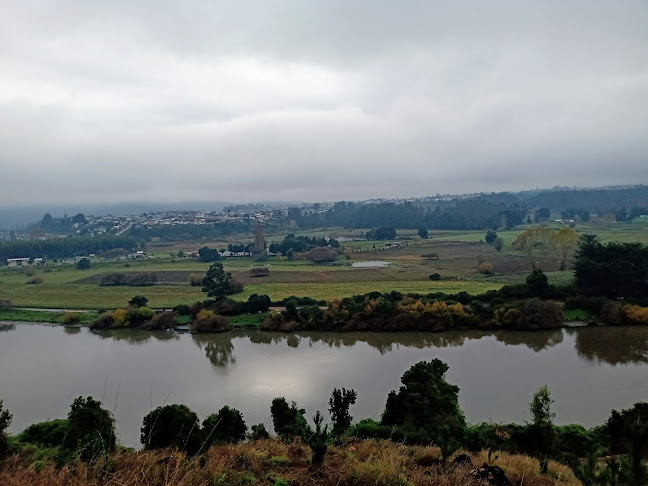 Pista Dh Carahue - Pub