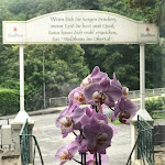 Photo n°2 de l'avis de Henri.e fait le 27/09/2021 à 06:04 sur le  Waldhaus im Okertal à Goslar