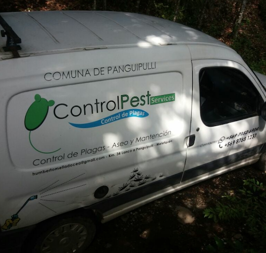 Opiniones de Control Pest Service en Loncoche - Empresa de fumigación y control de plagas