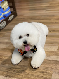 Max's Pet Market & Salon - Photo 2 - Car repair in Fort Myers, FL, Cape Coral