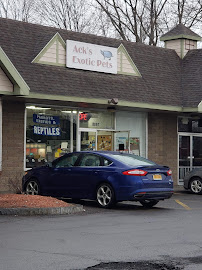 Ack's Exotic Pets - Photo 2 - Car repair in Cicero, NY, Syracuse