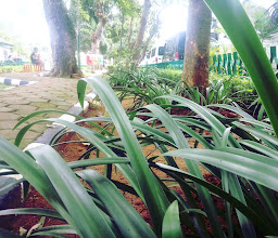 Taman Howitzer photo