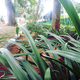 Taman Howitzer