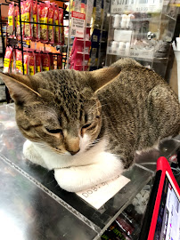 Ups Access Point - Photo 2 - Car repair in Brooklyn, NY, Brooklyn