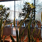 Photo n°1 de l'avis de Andreas.r fait le 15/01/2024 à 12:24 sur le  Ottendorfer Mühlenbäcker à Ottendorf-Okrilla