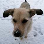 Photo n°2 de l'avis de Helmut.o fait le 29/01/2023 à 08:29 sur le  bootshaus Mannheim - Restaurant | Events à Mannheim