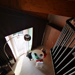 Photo n°1 de l'avis de Eva.e fait le 22/09/2019 à 11:33 sur le  Hotel Ristorante L’Approdo à Pettenasco