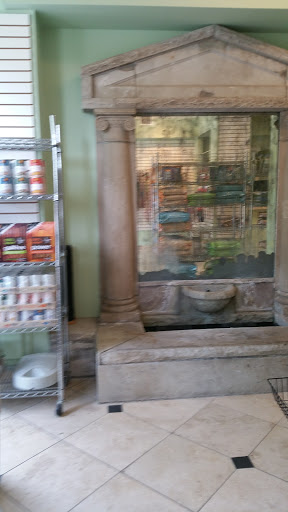 Pet Groomer «Doggie Style Bowtique», reviews and photos, 1713 Westport Rd, Kansas City, MO 64111, USA