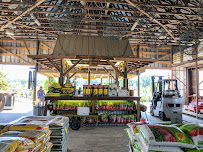 Floral Tree Gardens - Photo 4 - Car repair in Pensacola, FL, Pensacola