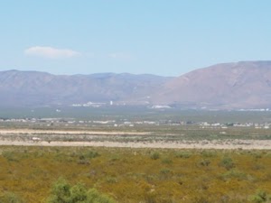 Chihuahuan Desert Nature Park - photo 61