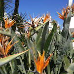 Photo n°3 de l'avis de MARIE.L fait le 13/05/2018 à 11:13 sur le  Hotel Guarana à Olhos D'Agua